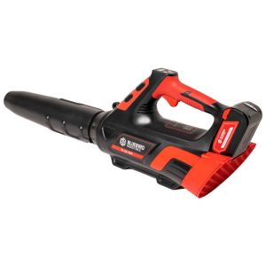 BL 22-300