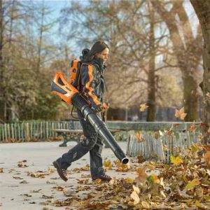 Bladblazer AIRION BACKPACK