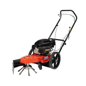 WB370 PRO-2 Briggs
