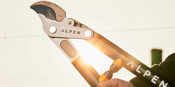 Alpen Snoeischaar category
